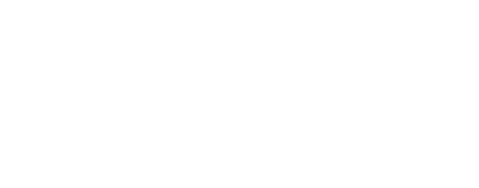 Grupo Blois